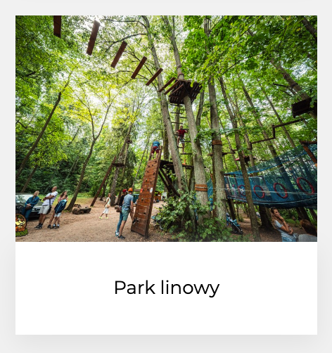 Park linowy